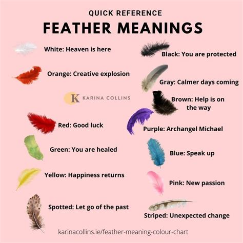 black and grey feather meaning